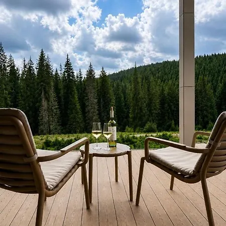 Holiday home затишний будиночок із видом на карпати в яблуниці Polyanitsa Popovichevskaya
